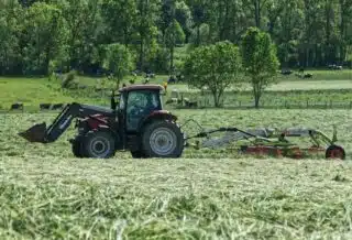 Agriculture de conservation