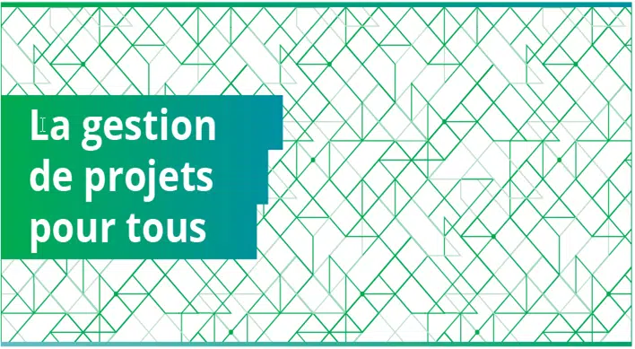 Infographie : la gestion de projets pour tous