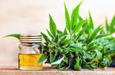 Le CBD et la santé mentale : une alternative naturelle