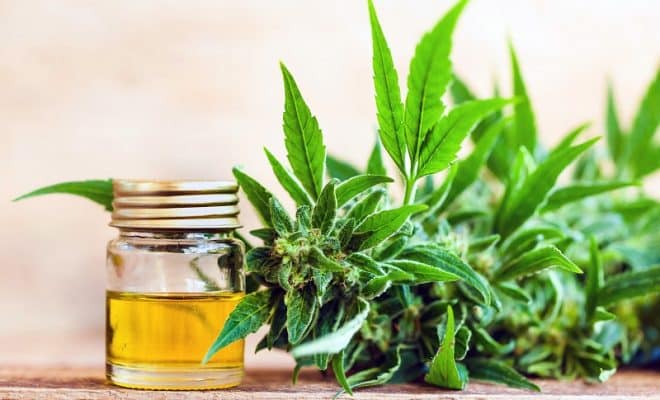 Le CBD et la santé mentale : une alternative naturelle