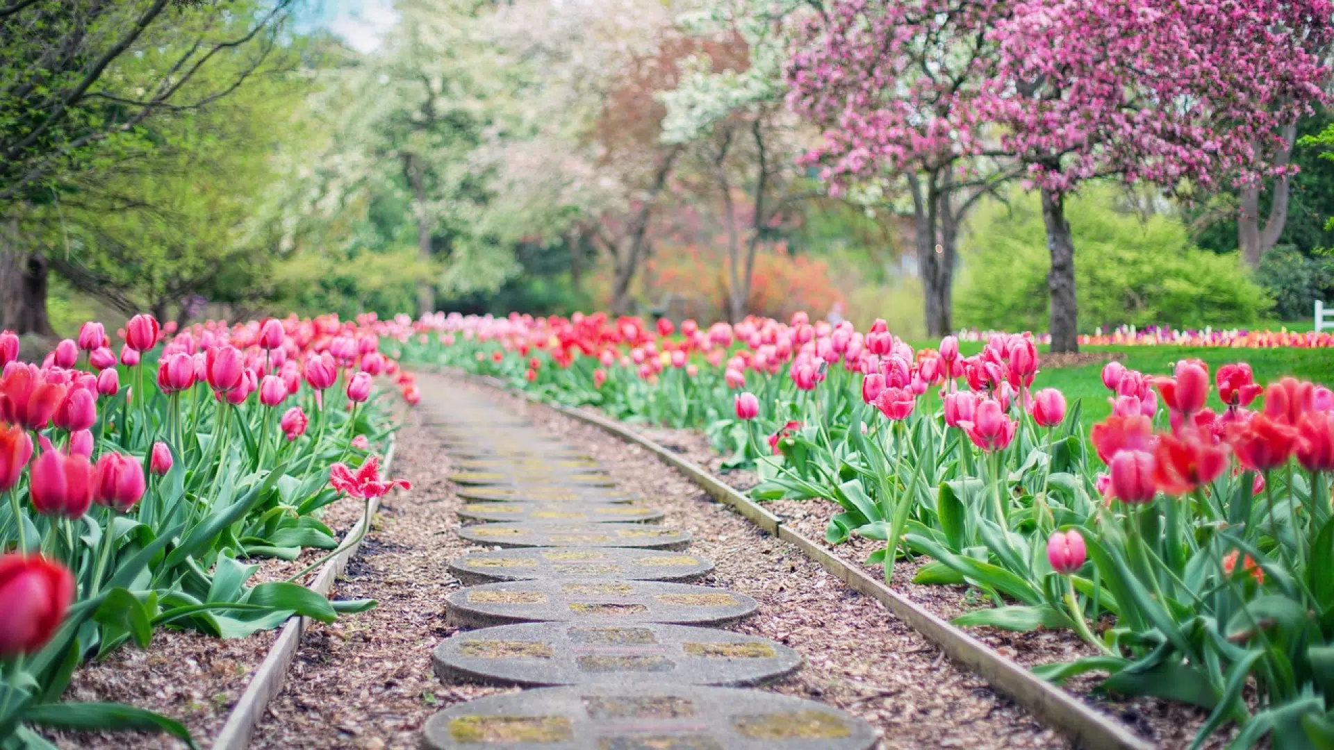 Comment aménager son jardin pas cher ?