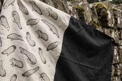 Gros plan sur le drapeau breton Gwenn-ha-du avec les onze hermines visibles sur tissu en lin accroché à un mur en pierre