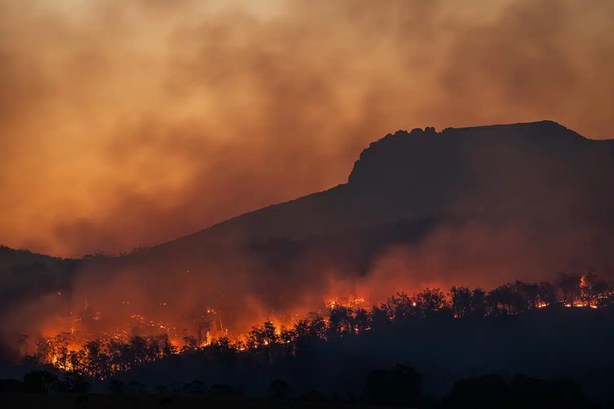 incendies