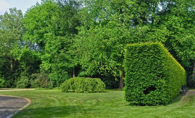 Quels sont les jardins à voir de la Sarthe ?